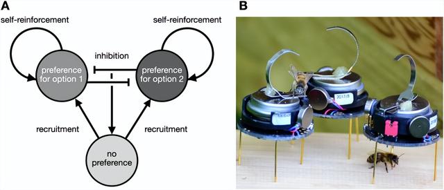 《自然》：当蜂群遇见机器人：重新定义机器人未来群体智慧
