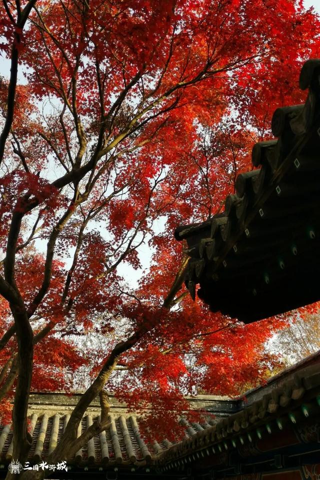 秋日预“景”！接下来的三国水浒城是这样的~