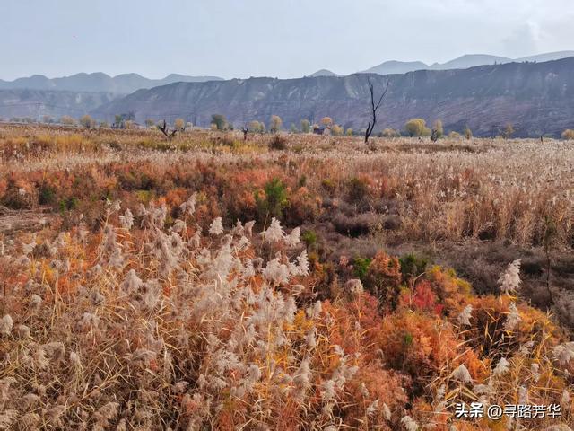 秋日从恐龙地址公园,沿铁路,伴着黄河,徒步至太极岛