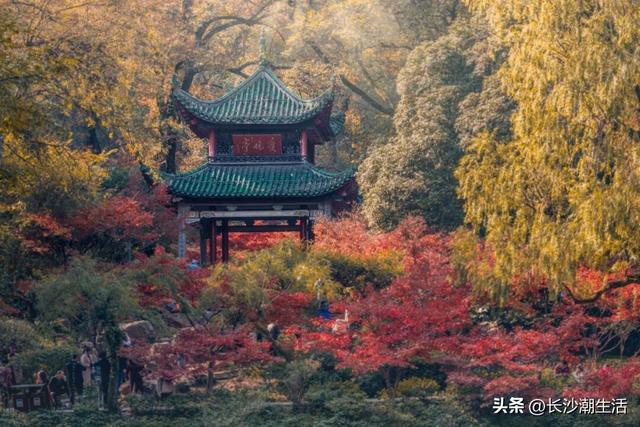 被朋友问了800遍的长沙国庆攻略，今天就毫无保留地公开了！