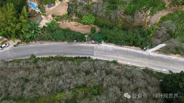 广东福建交界地带，马路界线分明，中间卡着一个鸟窝，属于哪里的