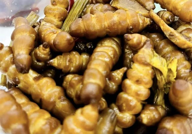 “冬天吃一根，腿脚站稳跟”！买10斤腌起来	，随吃随取，开胃下饭