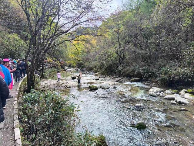 排队游览光雾山