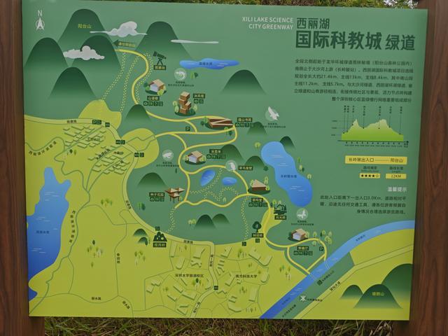 西丽湖国际科教城绿道高清随拍