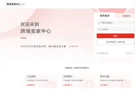 一篇文章让你看懂拼多多跨境TEMU平台入驻流程！图片