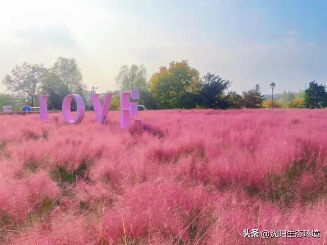 发现沈阳生态之美 | 美到窒息！沈阳赏秋地图发布