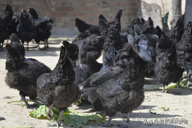 曲靖风物特产合集