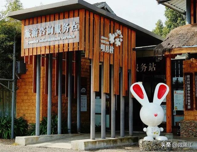 成都蒲江好物“上架”星级酒店、热门景区！这份“伴手礼”清单请收好！
