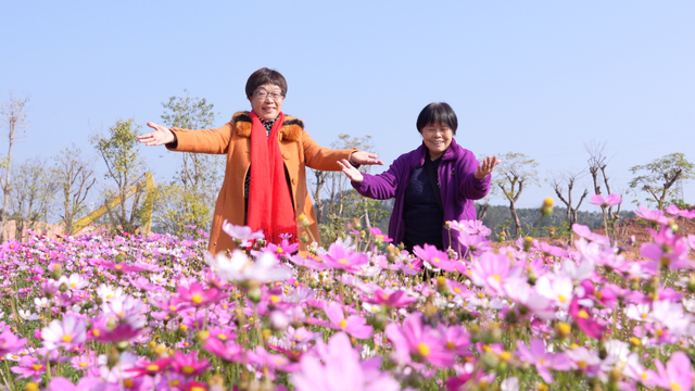 百千万工程“花”样答卷！德庆冠旭电子产业园惊现格桑花海，一起来打卡工业风浪漫吧~