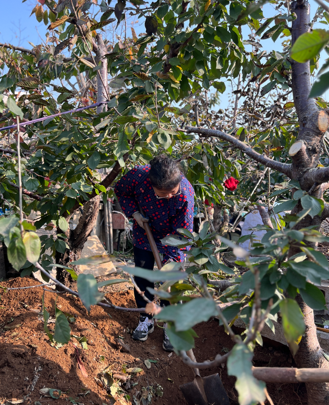 40岁中年女性慢跑半年实录：体重没变，但身体发生了惊人变化！