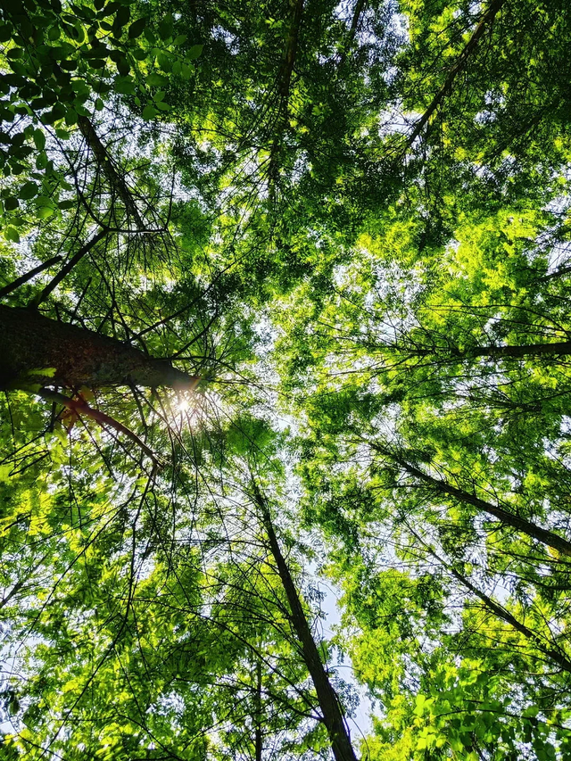 实测低9℃！成都1.5h的免费溯溪玩水遛娃路线，超安逸！