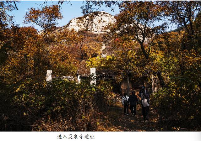 吴秀成：金秋探寻灵泉寺