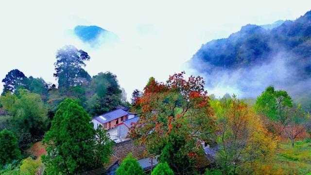 等霜落，看景去——徽县的秋，是首写满美的诗