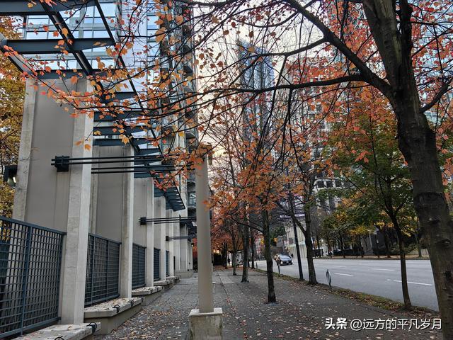 温哥华游记（一）