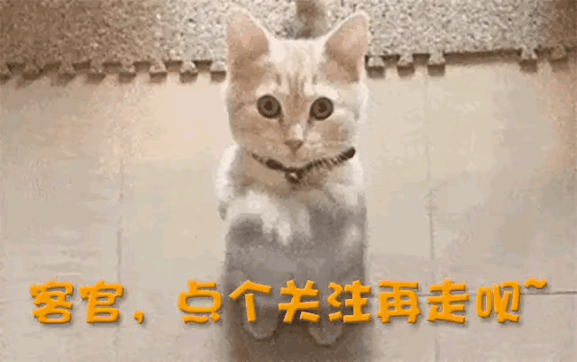 突发讣告！她于9月9日去世，享年52岁