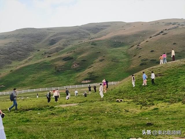 抓住夏天的尾巴，奔向大海草山