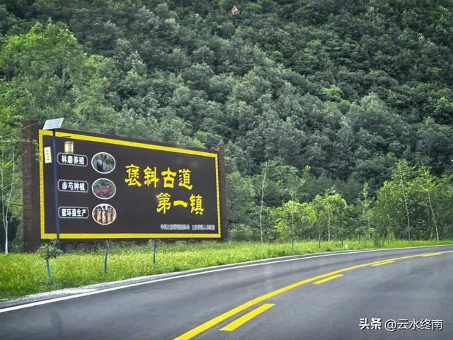美不美？从“吐一路”到最美乡村路，看4000年银杏，探2000年栈道