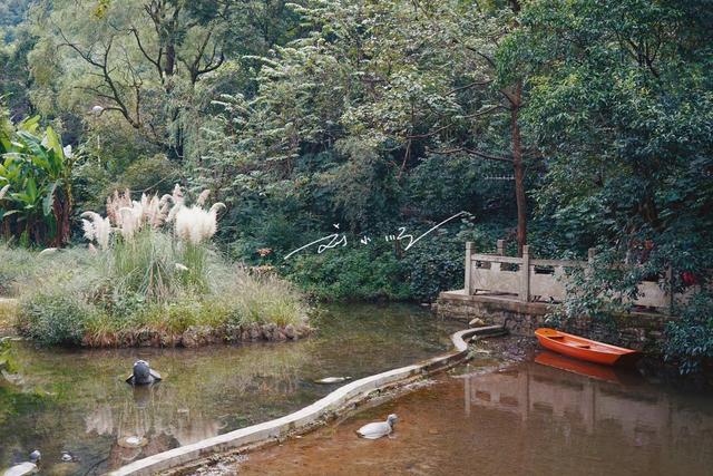 藏在贵阳市中心的“城市绿肺”，免费4A级景区，野生猕猴成群？