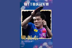 樊振东4比3王楚钦，获得WTT重庆站男单冠军，赛后采访：相比冠军，我更在意王楚钦伤势图片