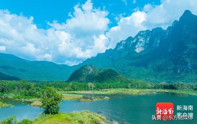 福利+n!周末来东方看“村BA”,吃喝玩购一网打尽!