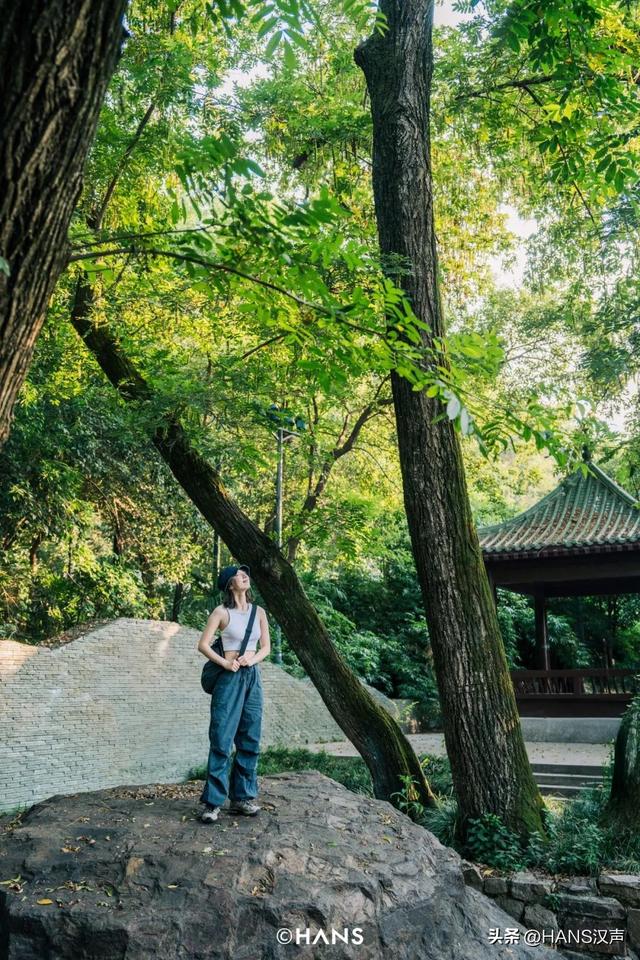 上龟山，下晴川，山水之城，快活自在
