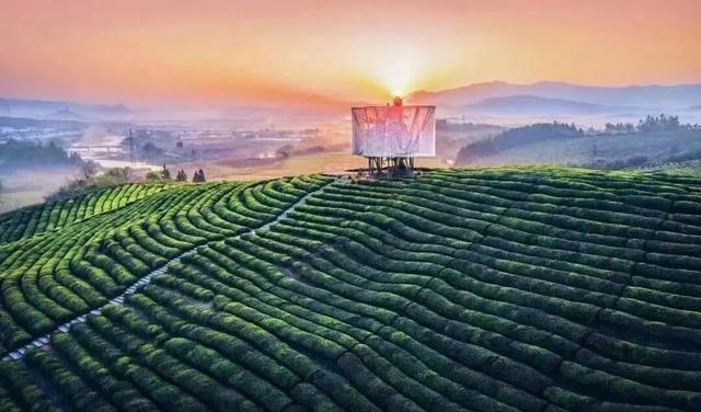 速看！浮梁景区景点2026年元旦活动来啦