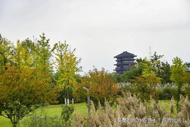 汉中湿地公园的秋已上线，随手拍都是治愈感！