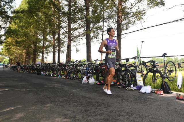 沪上这9条秋游线路，带你走进申城最美的秋景~