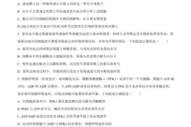 高考真题：2024年新课标高考真题安徽卷生物学试卷图片