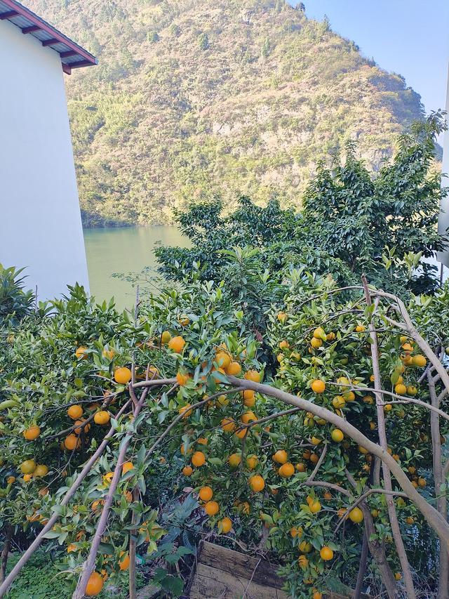 鄂渝行第四天（上）：小红船换小白船，从巫山到巴东