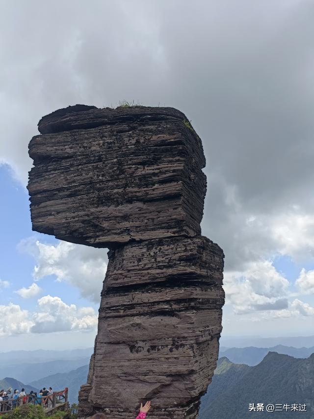 无为在歧路，2025之经行