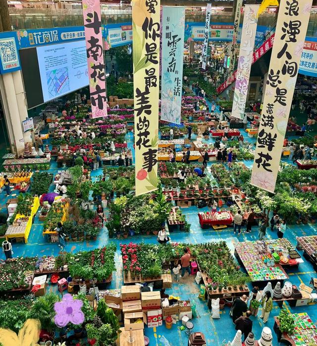 我是上海人，国庆杀到昆明，被这座大城市惊得目瞪口呆！