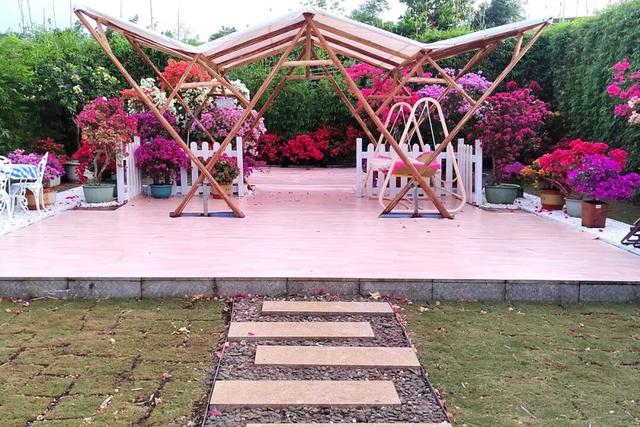 深度赏析海南三角梅赏花周6个最美花园 | 动态