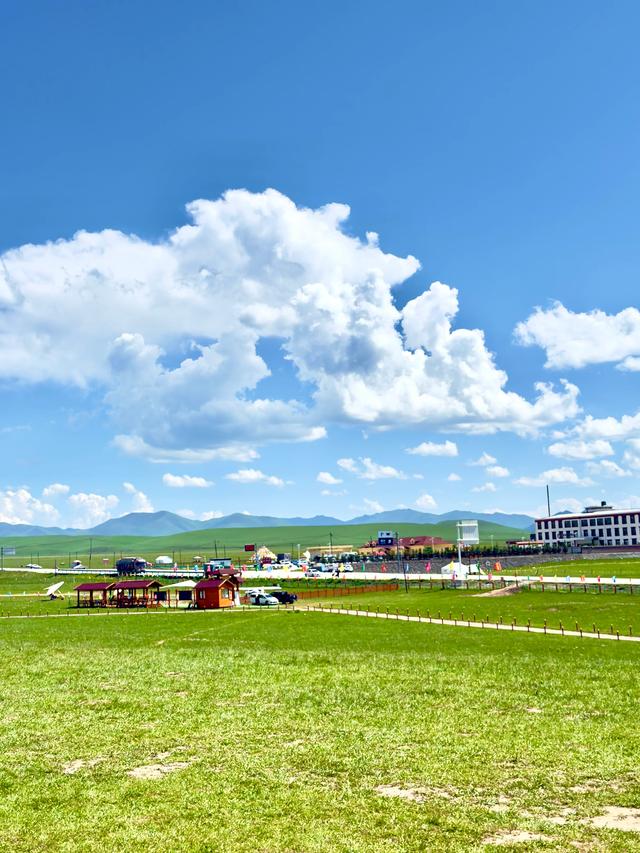 绿野寻梦（甘南州夏河县桑科草原）