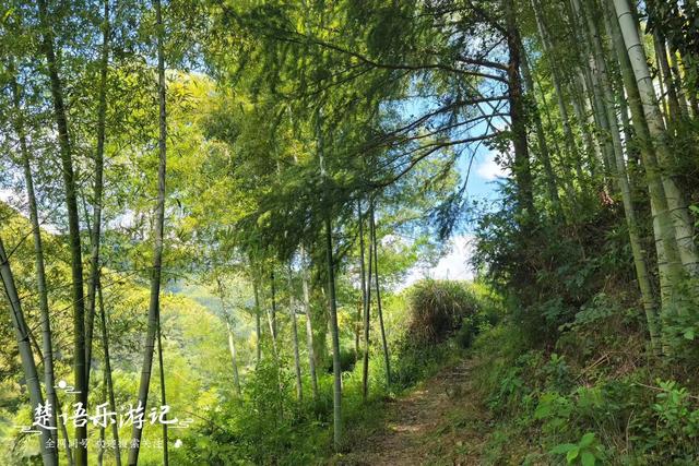 浙江宁波雷虎岩下的古村，犹如被遗忘的山中明珠，堪比世外桃源