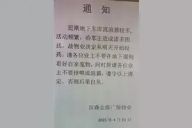 长春一小区通知将对地下车库流浪猫投药，物业：为了警醒遛狗业主，未展开实际行动图片