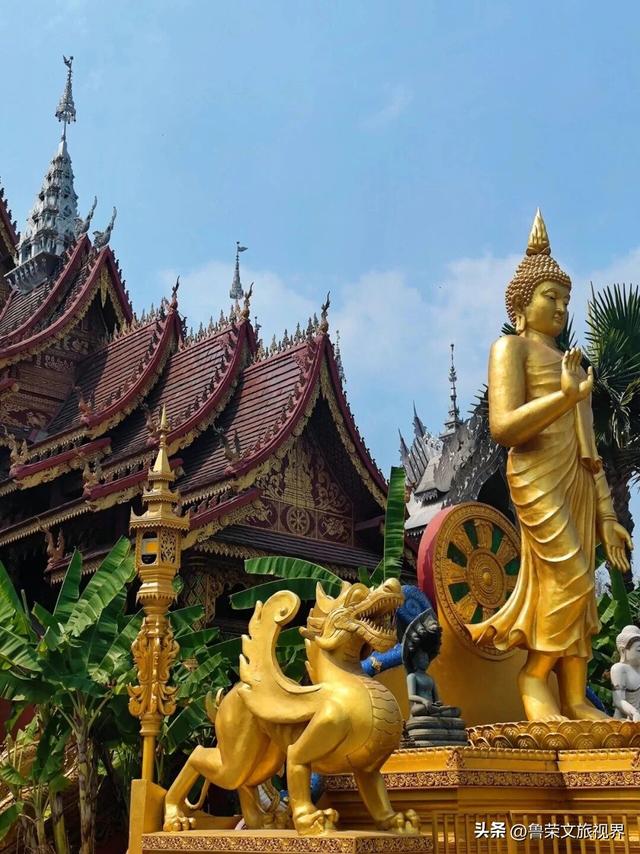 北回归线上的绿宝石：西双版纳的暖冬秘境