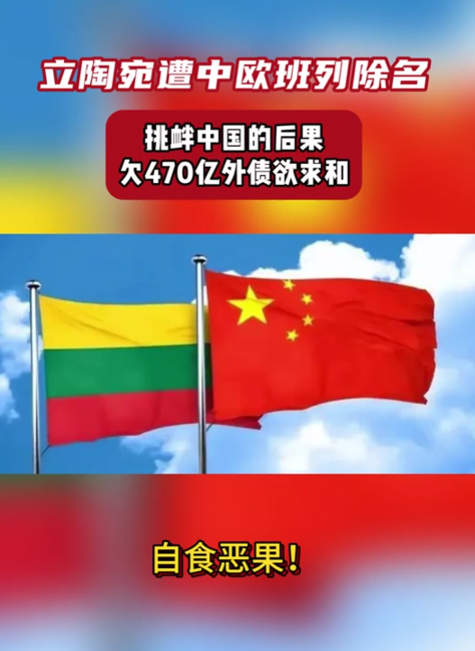 禁止所有中国外交官入境，不让两岸统一	，这个国家比美国还要嚣张