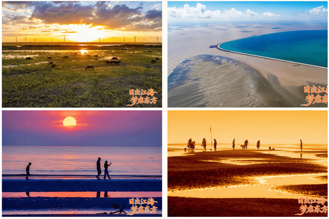 2025启东文旅（长三角）招商推介活动顺利举行