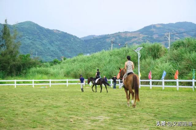 山海交响 福聚宁德|越山海之外,邂逅马背上的别样浪漫