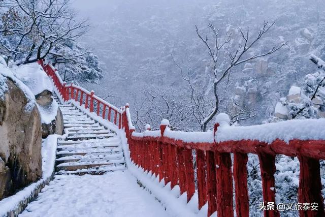 元旦游新甫,追光迎新福!终于能和好友一起撒欢看日出啦~