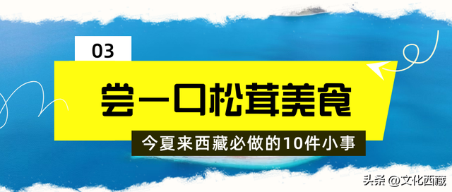 发钱啦！进藏避暑可享补贴！这个夏天来西藏必做这10件小事