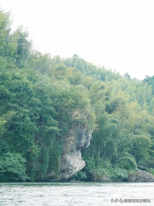 风景赛桂林！免费玩水溯溪，湖南初秋遛娃“天花板”在这里