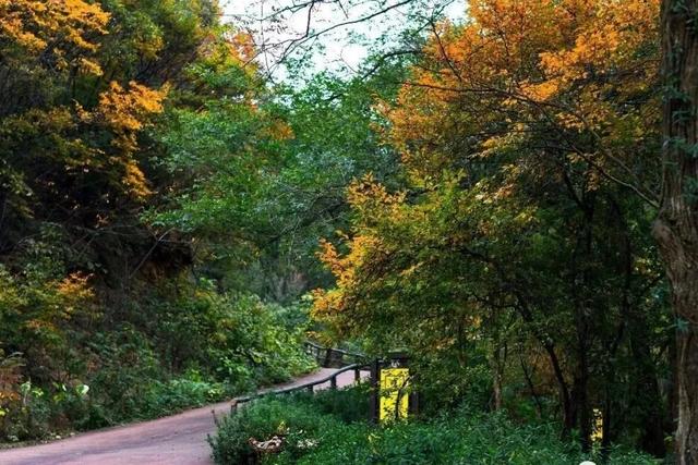 黄陂这些点位出片率绝了!