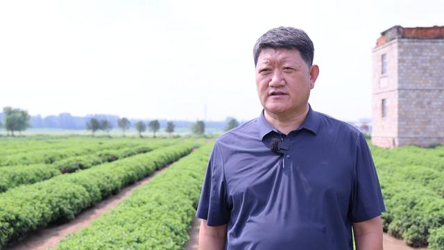 文化中国行丨处暑时节探访大汶口镇：寻秋日故事 品千年韵味