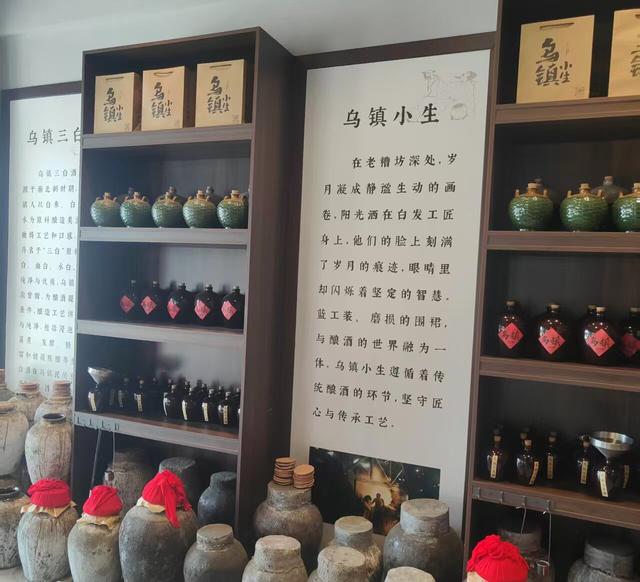 摇起乌篷船 • 直奔乌镇来！