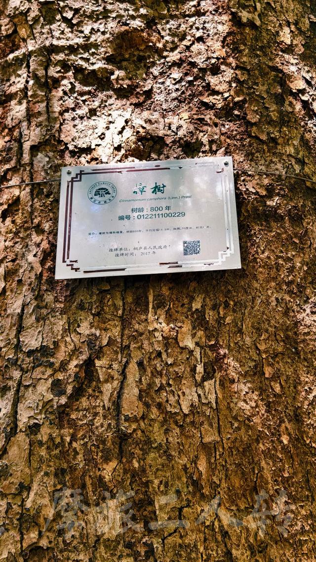 皖浙摩旅二人转——桐庐荻浦村篇