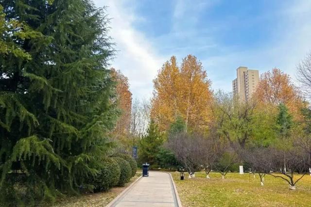 现在就出发，慢跑曲沃，邂逅不期而遇的冬日美好~