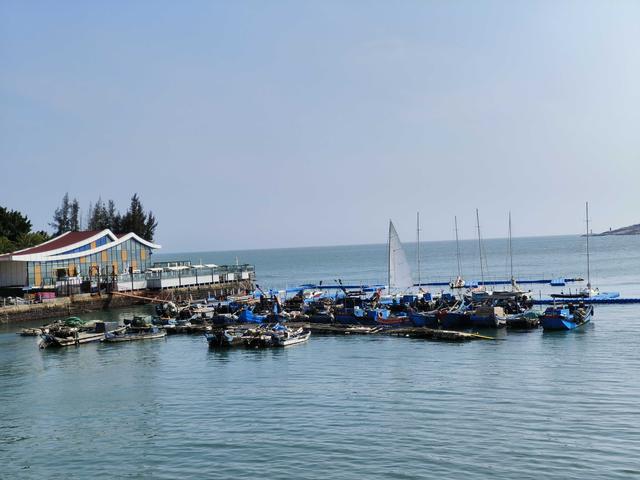 蝶岛散记——东山一日归