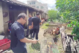 两人侵占他人土地拒不履行生效判决，定安法院4小时执结10余年“骨头案”图片